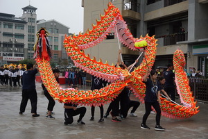 Link to 學生舞龍